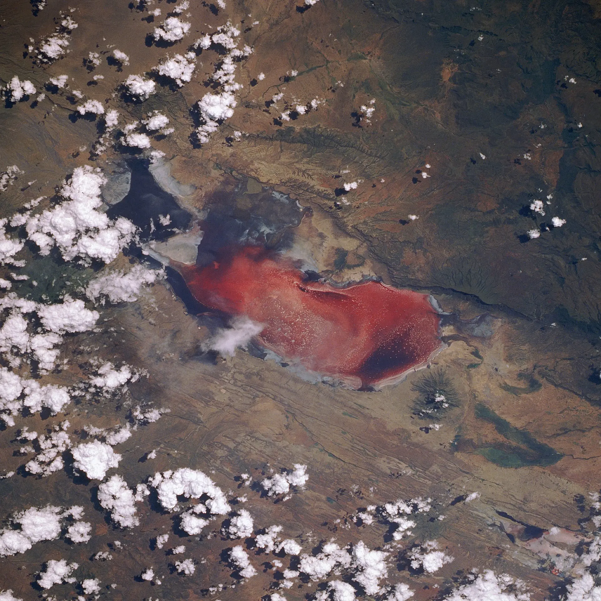 Jezero Natron, někdy nazývané „smrtící červené jezero“, zachycené z raketoplánu Discovery během mise STS-29. Foto: NASA