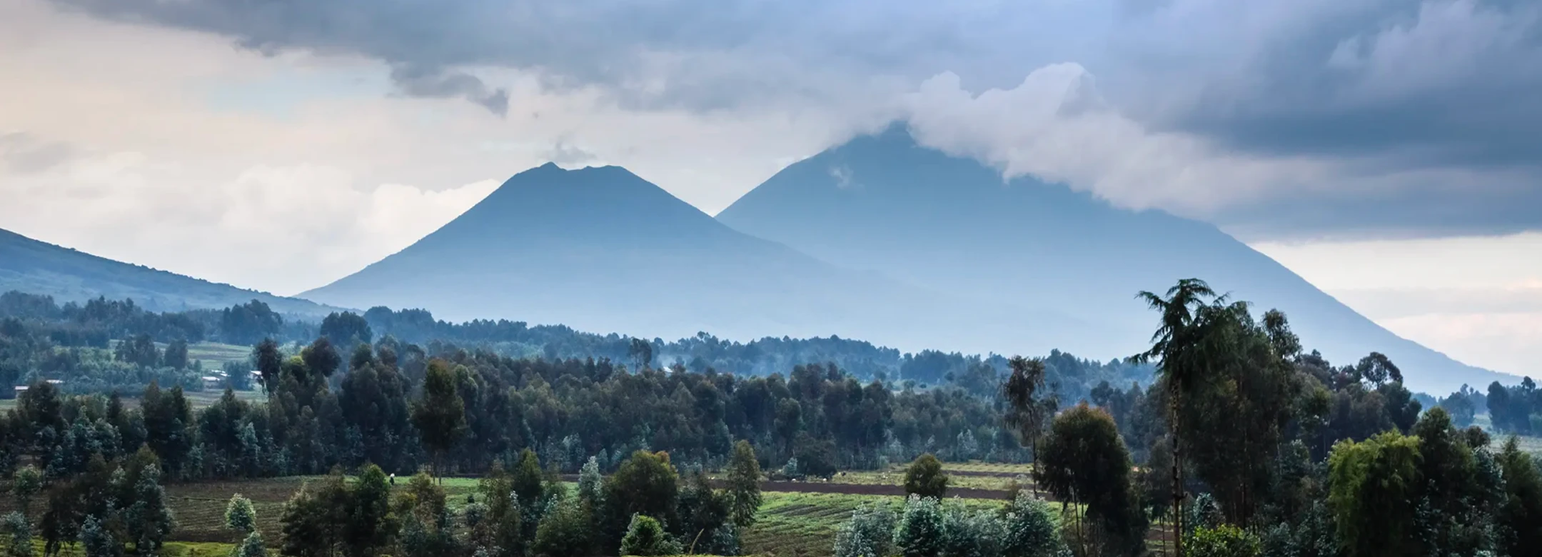 Národní park Volcanoes