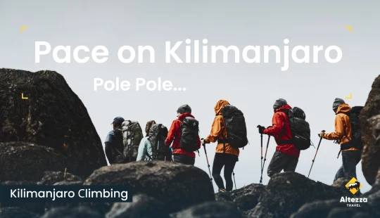 Správné tempo na Kilimandžáru | Altezza Travel