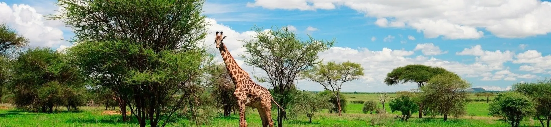 Národní park Arusha