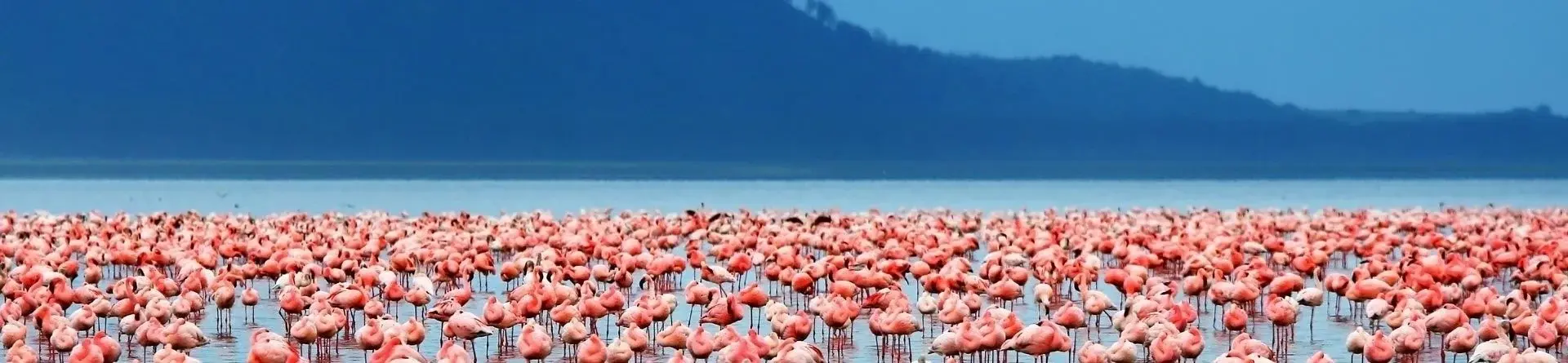 Jezero Manyara Jezero Manyara