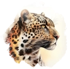 Levhart