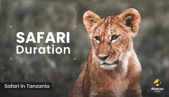 Plánování safari: kolik dní potřebujete?
