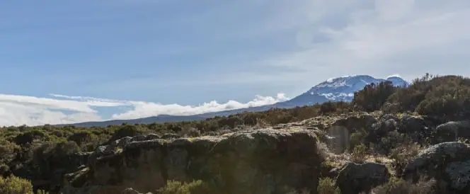 Trasa Marangu – den 3 – Trek z Mandara Hut k Horombo Hut