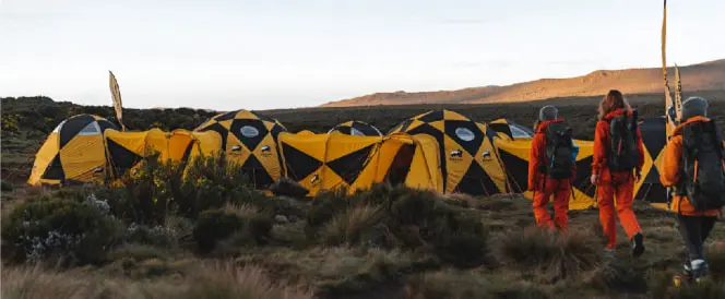 Trasa Lemosho – den 3 – Trek z kempu Shira 1 do kempu Shira 2