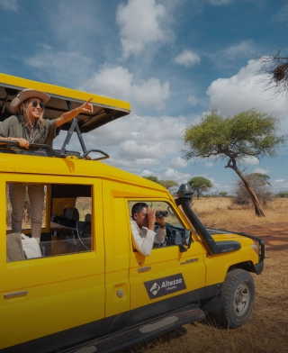 O Altezza Travel