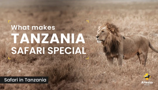 Čím je safari v Tanzánii výjimečné