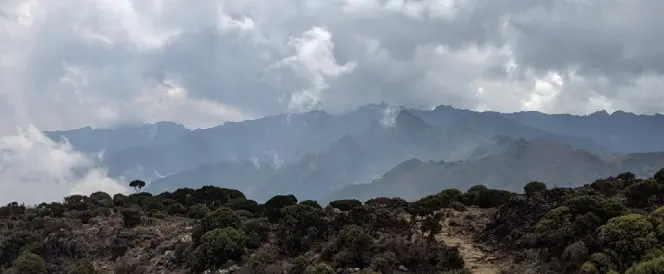 Trasa Umbwe – den 3 – Trek z Umbwe Camp do Barranco Camp
