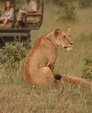 Národní park Serengeti